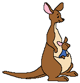 kangaro1